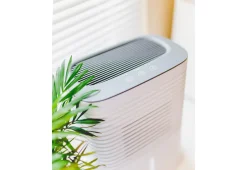 Crane USA, INC 4 Pint Dehumidifier