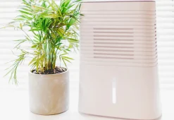Crane USA, INC 4 Pint Dehumidifier