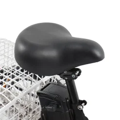 FEND Corp Adult Electric Tricycle
