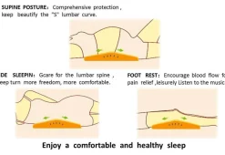 Beauty Ko LLC Back Pain Relieving Pillow