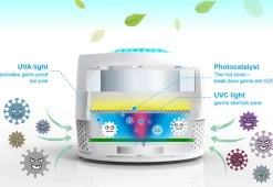 Wiseome Inc. Car Odor Eliminator