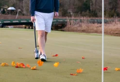 ZoomBroom Inc. Cordless Golf Air Broom