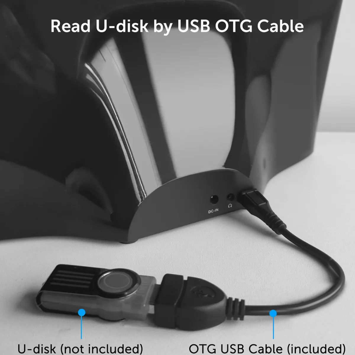 Sungale Easiest Internet Radio