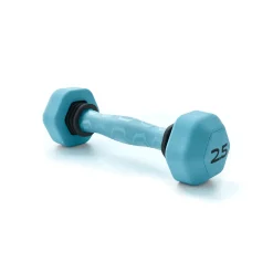 Teleshop Inc. Echelon FitNation Vibra-Weight