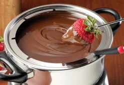Sharper Image Electric Fondue Maker