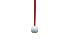 Celestron Acquisition, LLC Golf Swing and Hitting Trainer