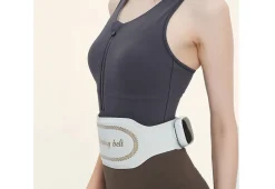 Prospera Corporation Hot Compress E.M.S. Massage Belt