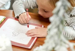 Holidynamics Inc Interactive Santa Ornament with Journal