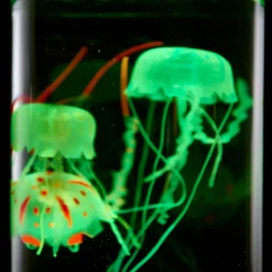 Camelot SI, LLC Jellyfish Aquarium