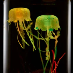 Camelot SI, LLC Jellyfish Aquarium