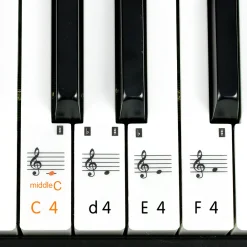 Daylight 24, Inc 61-Key Keyboard