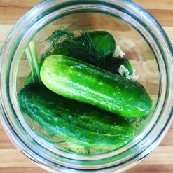 Brooklyn Brew Shop, LLC Lacto-Pickle Making Kit