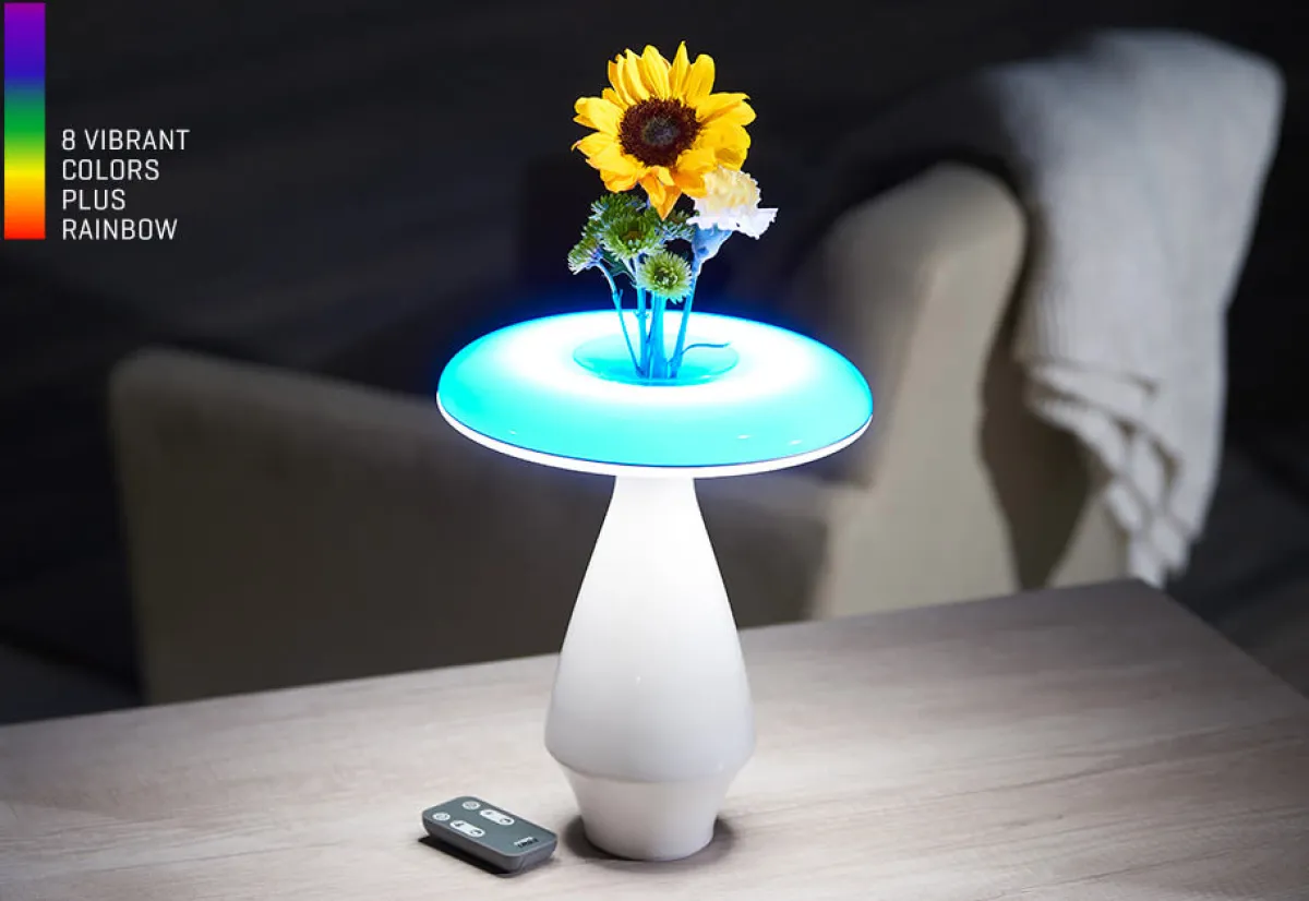 Heron Elite Inc LED Ceramic Flower Vase