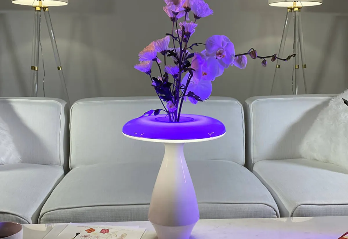 Heron Elite Inc LED Ceramic Flower Vase