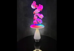Heron Elite Inc LED Ceramic Flower Vase