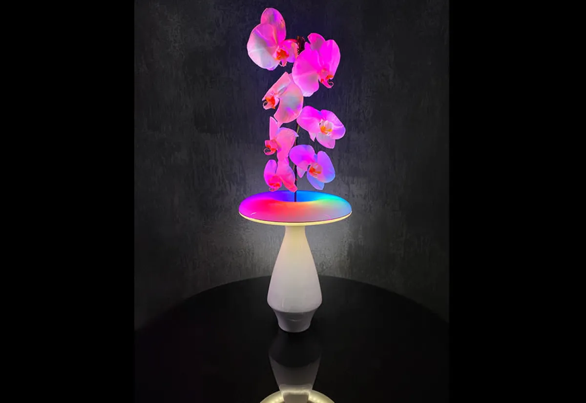 Heron Elite Inc LED Ceramic Flower Vase