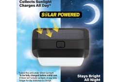 Maxsa Innovations LED Solar Fence Lights (4-Pack)