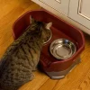 Neater Pet Mess Proof Pet Feeder