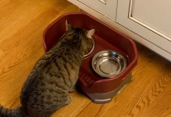 Neater Pet Mess Proof Pet Feeder