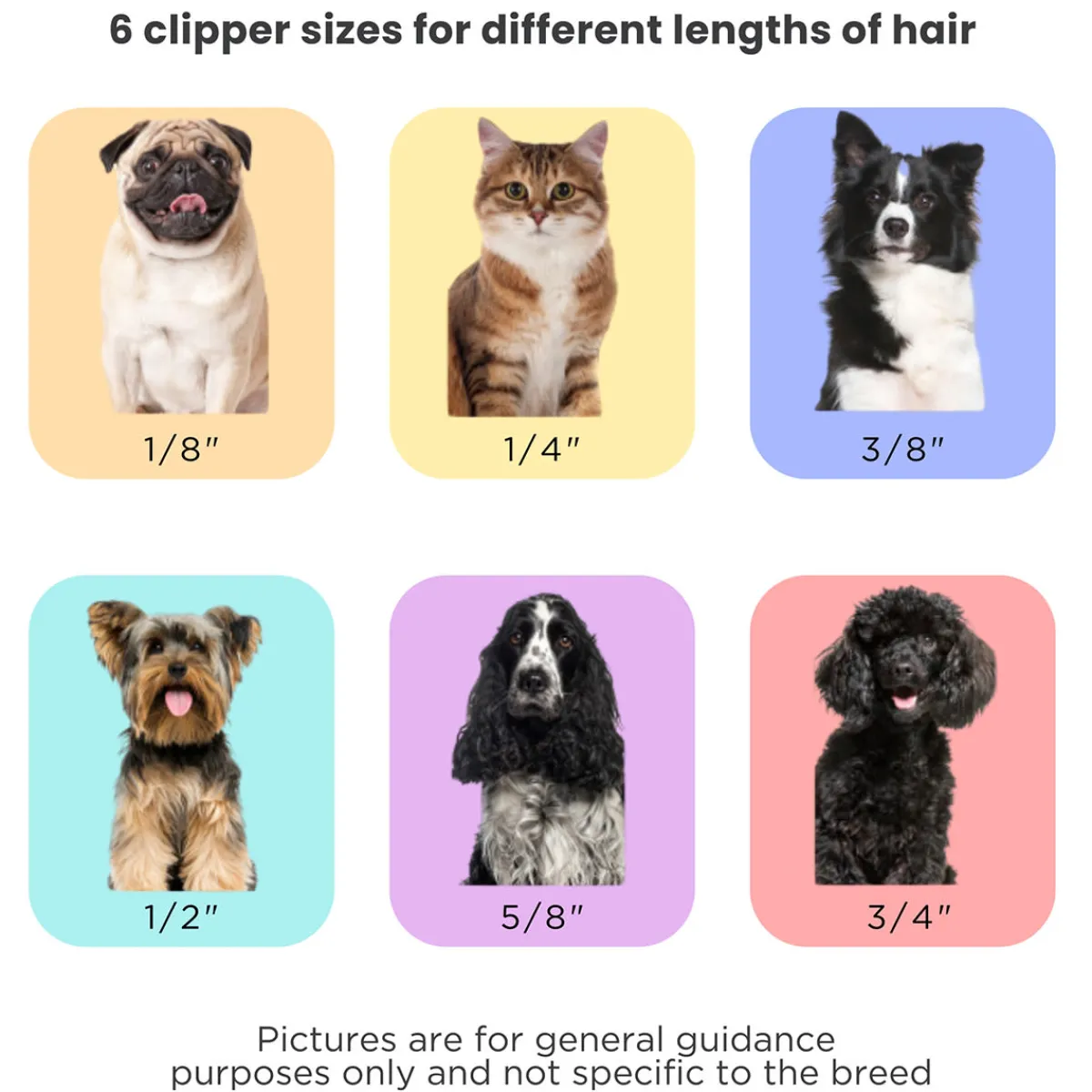 Cap Hill Brands dba AquaPaw Mess-Free Pet Grooming Kit