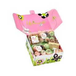 Misha's Cupcakes Inc. Misha's Cupcakes and Cakes Bestseller Gift Box
