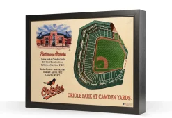 iDNA Series, LLC MLB 3D Stadium Wall Art