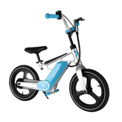 DGL Group Ltd My First E-Bike