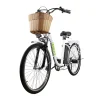 Sharper Image NAKTO Camel Electric Bike