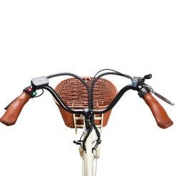 Sharper Image NAKTO Classic Electric Bike