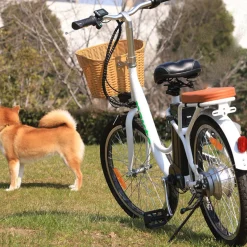 Sharper Image NAKTO Elegance Electric Bike