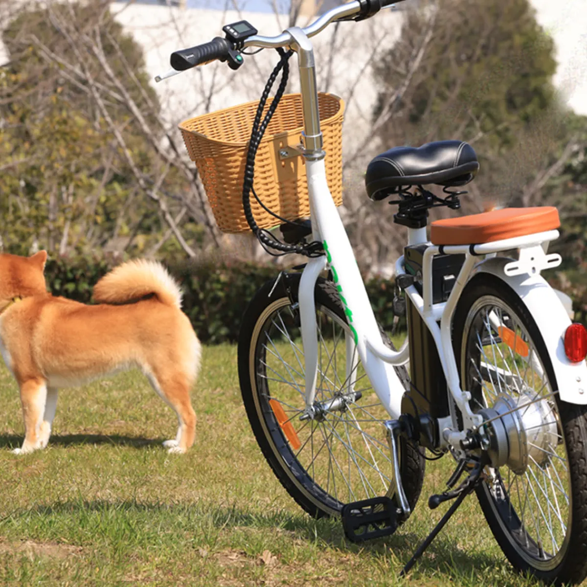 Sharper Image NAKTO Elegance Electric Bike