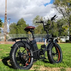Sharper Image NAKTO Folding Electric Bike