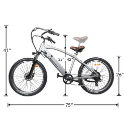 Sharper Image NAKTO Santa Monica Electric Bike