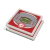 iDNA Series, LLC NCAA 3D Stadium Coasters (Set of 4)