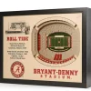 iDNA Series, LLC NCAA 3D Stadium Wall Art