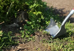 Teleshop Inc. (Beauty Ko LLC) One Shot ''Wing'' Shovel