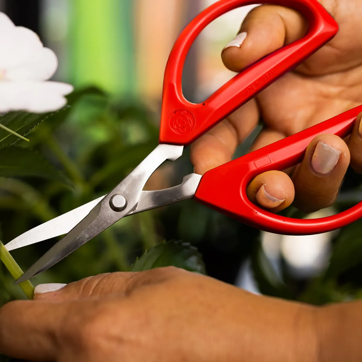 THAT! Inventions Inc (formerly Parallax Horizon, Inc) 2-Pack Kitchen Scissors