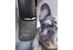 Tail Chasers LLC Pet Water Bottle Leash