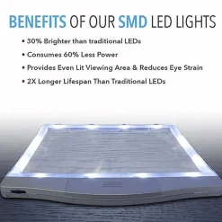Daylight 24, Inc Portable Lighted Magnifier
