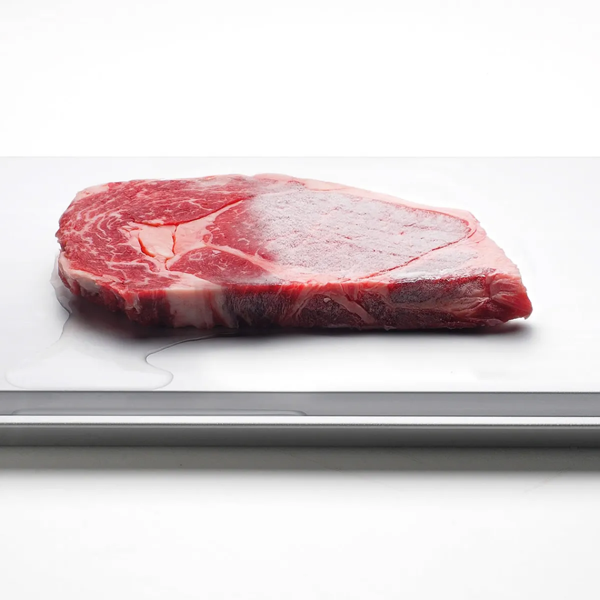 The Future Products, Inc. Premium Innovative Defrosting Tray
