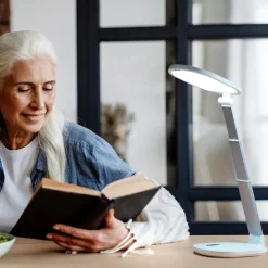 The Daylight Company, LLC Rechargeable LED Tabletop Lamp
