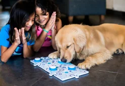 Ewbank LLC Recordable Pet Training Buttons