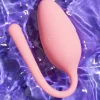 VLC Distribution Co. Remote Control Vibrating Love Egg