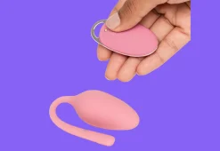 VLC Distribution Co. Remote Control Vibrating Love Egg