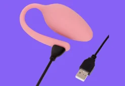VLC Distribution Co. Remote Control Vibrating Love Egg
