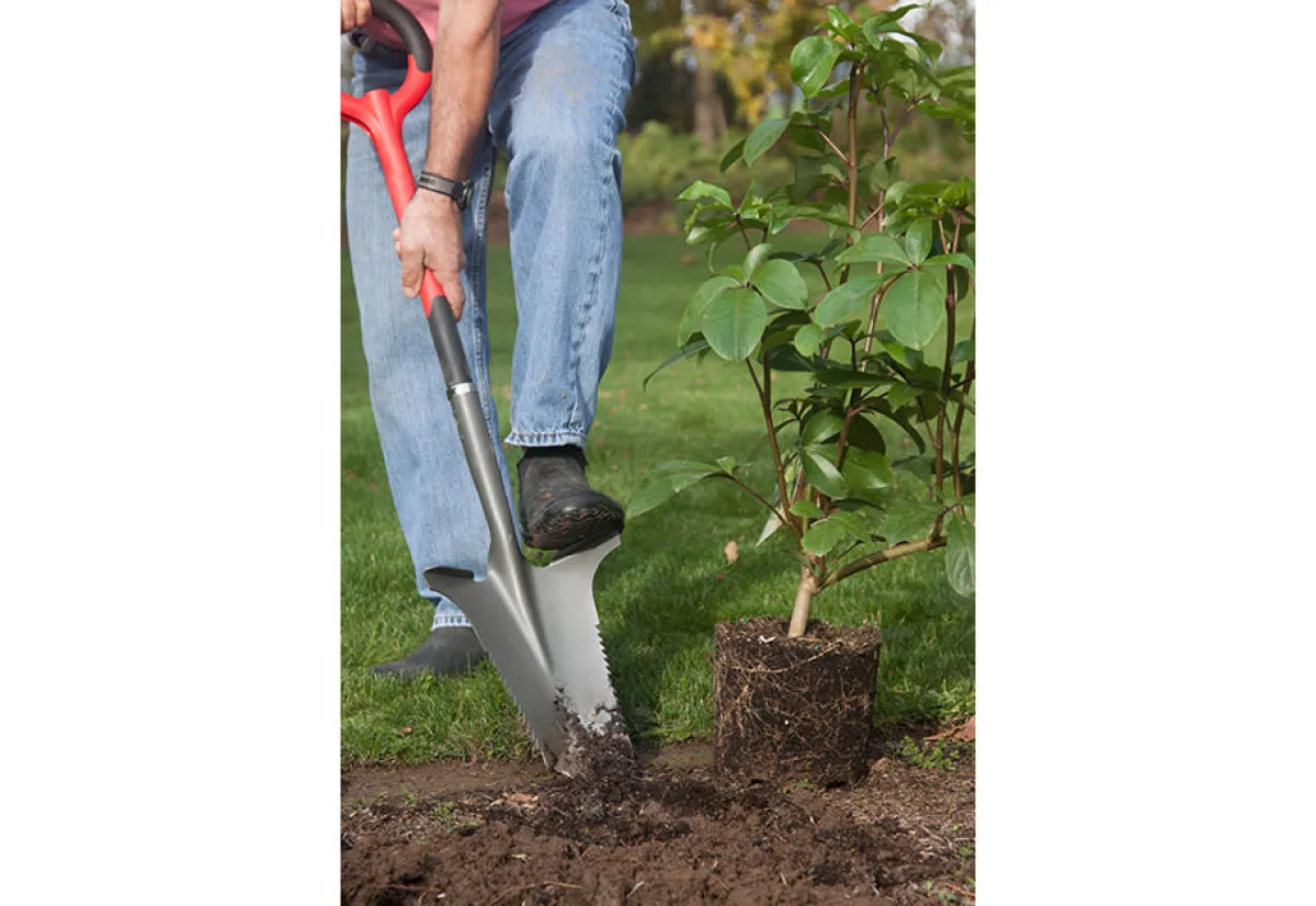 American Lawn Mower Co Root Slayer Soil Knife