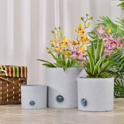 Bloomscape Self-Watering Cylinder Pot System for Indoor Plants (Set of 3)