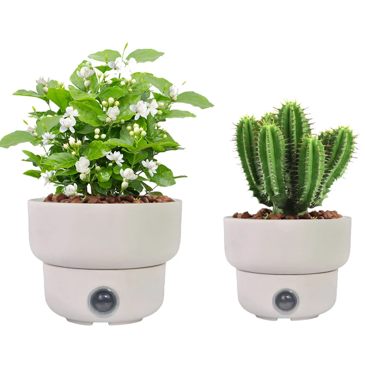 EP DESIGN LAB Self-Watering Low Bowl Pot System for Indoor Plants (Set of 2)