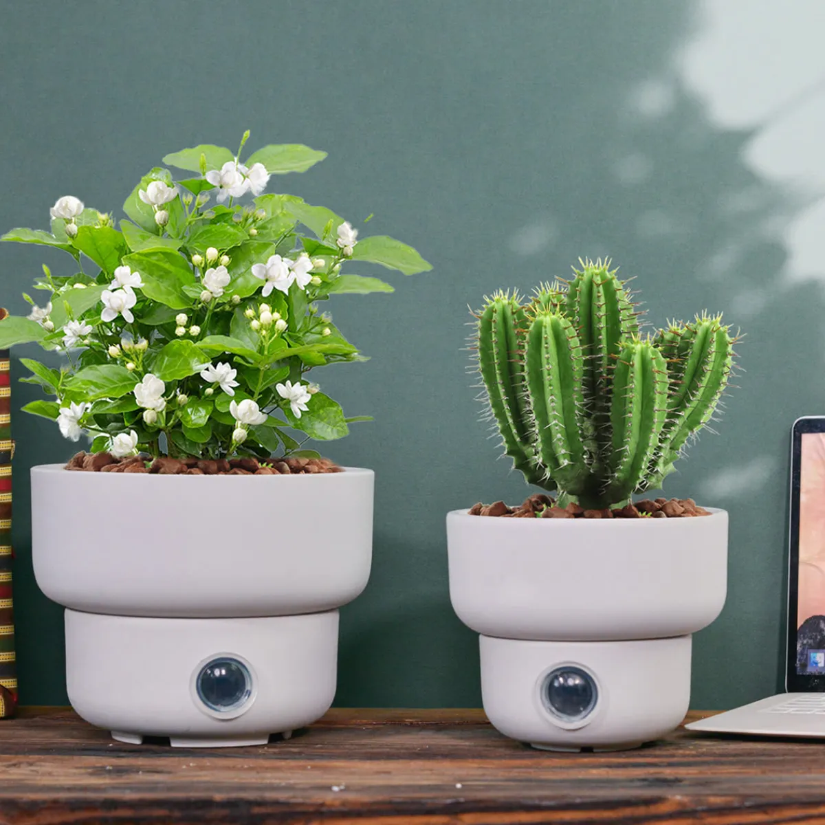 EP DESIGN LAB Self-Watering Low Bowl Pot System for Indoor Plants (Set of 2)
