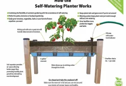 Dobi u0026 Associates, Inc. Self-Watering Planter